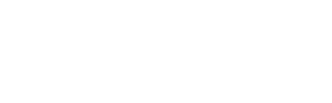 Logo Four Sights Solutions